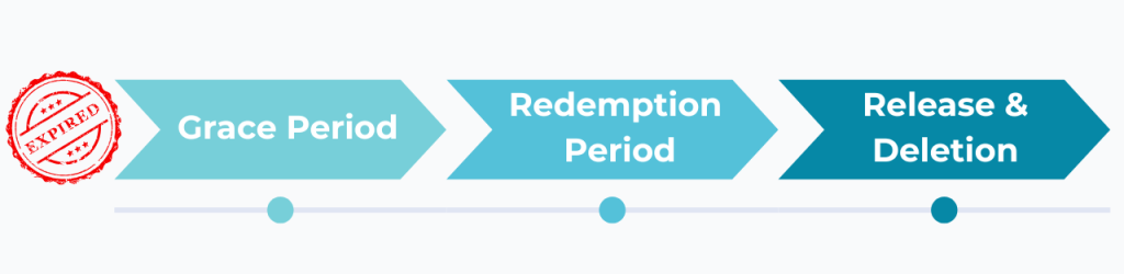what happens to expired domains